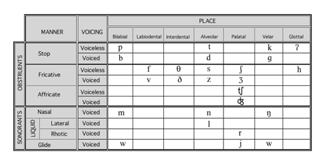 Phoneme Placement Chart