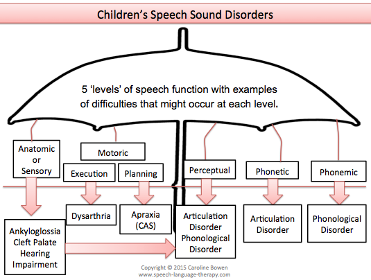 types of speech disorders